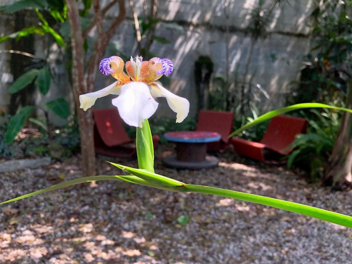 Jatai Guest House ウバトゥバ エクステリア 写真